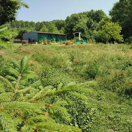 Insolite La Renouee * Saumur