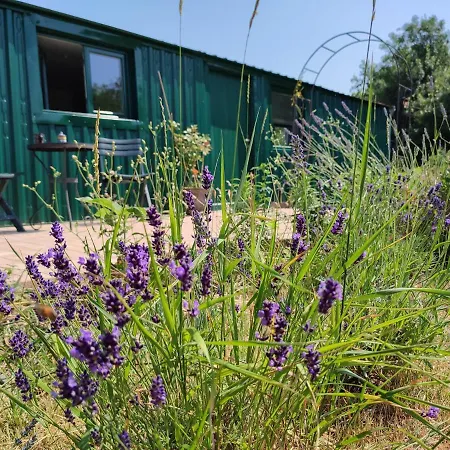 Insolite La Renouee *