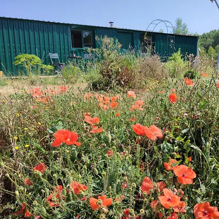 Insolite La Renouee * Saumur