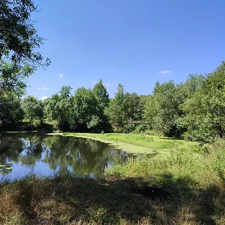 Insolite La Renouee *