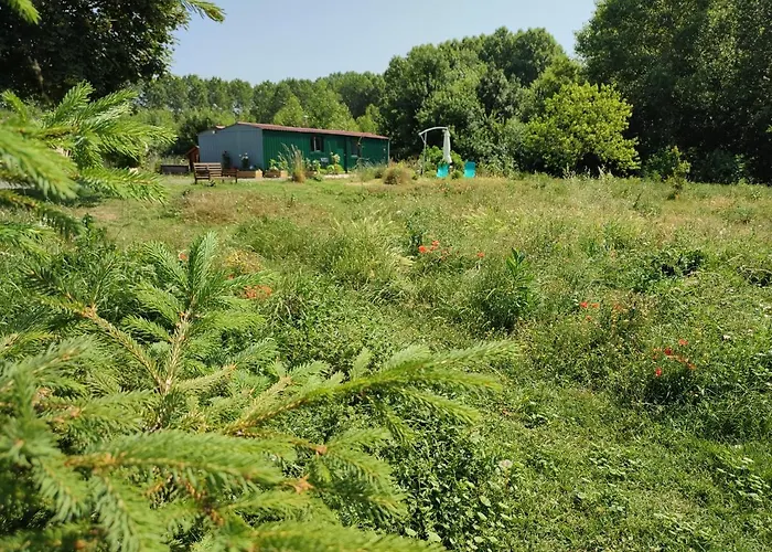 Insolite La Renouee * Saumur