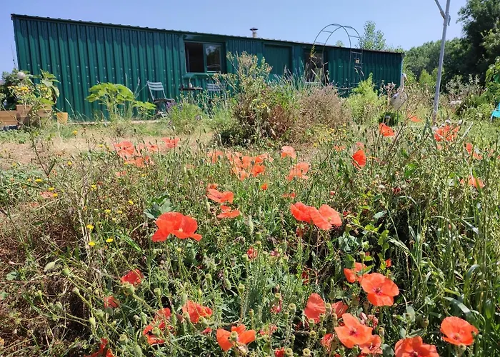 Insolite La Renouée * Saumur