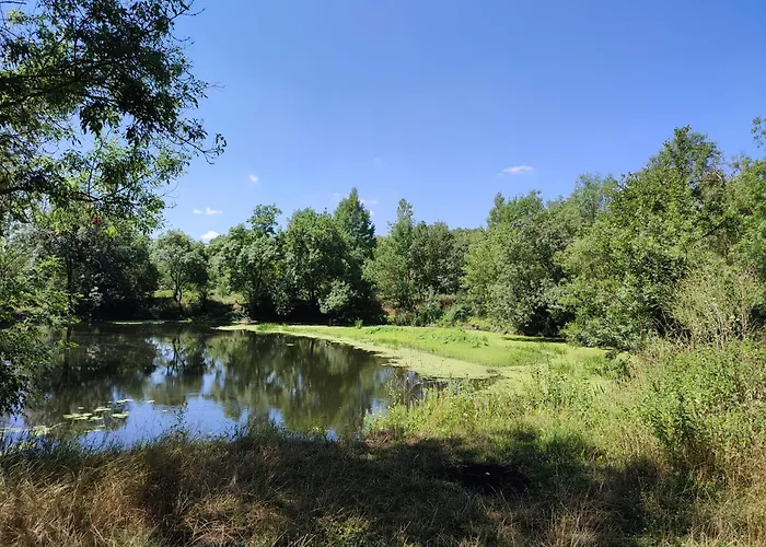 Insolite La Renouee *