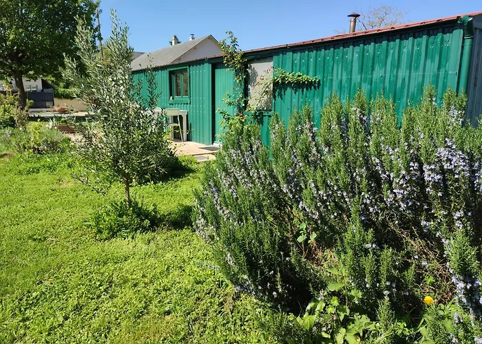 Insolite La Renouée